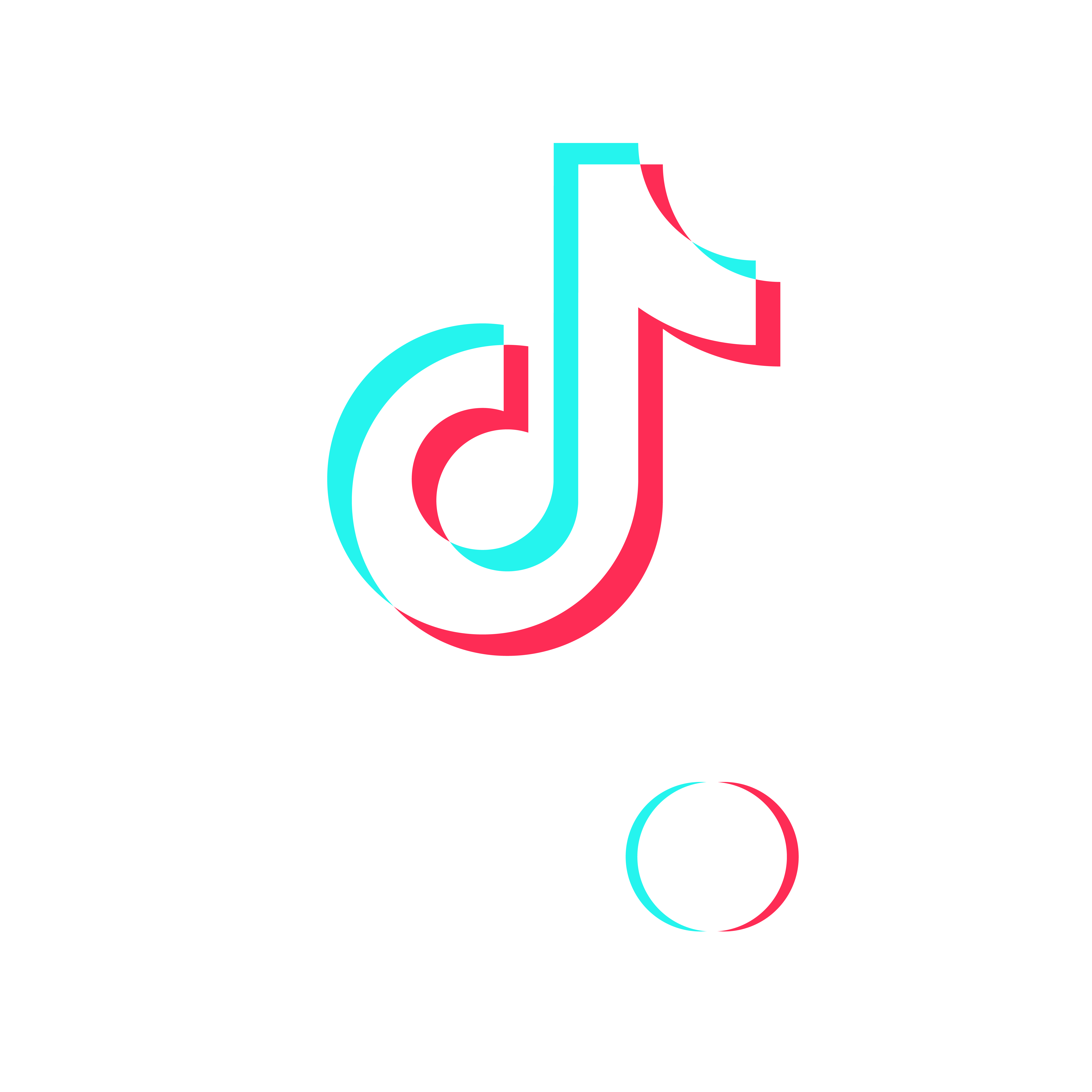 BeeboCraft TikTok